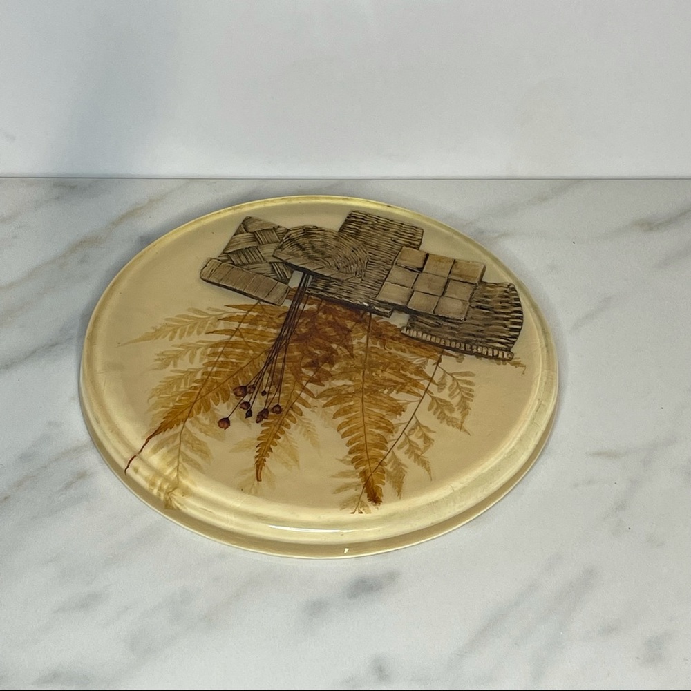 Vintage 70s Lucite Acrylic Trivet Hot Pad with Leaf Art Boho Nature Inspired - Picture 6 of 8